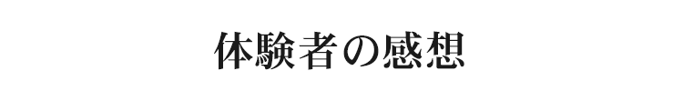 体験者の感想